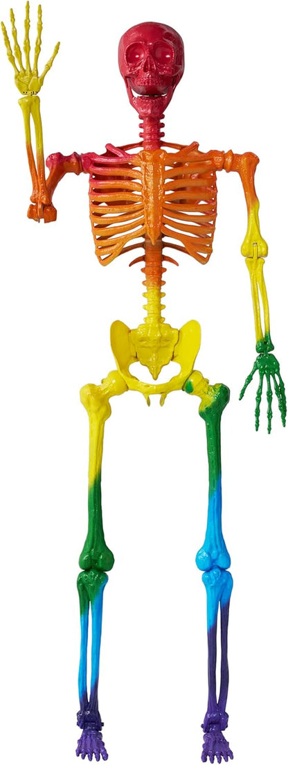 5.6 FT Halloween Posable Life Size Skeleton, Full Body Realistic Bones with Mova