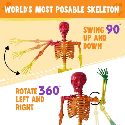 5.6 FT Halloween Posable Life Size Skeleton, Full Body Realistic Bones with Mova