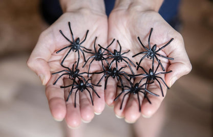 Halloween Spider Web Decoration, 200 Square Feet & Plastic Spiders, Halloween Party Supplies, Spider Webs (Small, 200 Sq Feet) (8 Fake Spiders Included)
