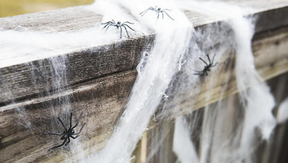 Halloween Spider Web Decoration, 200 Square Feet & Plastic Spiders, Halloween Party Supplies, Spider Webs (Small, 200 Sq Feet) (8 Fake Spiders Included)