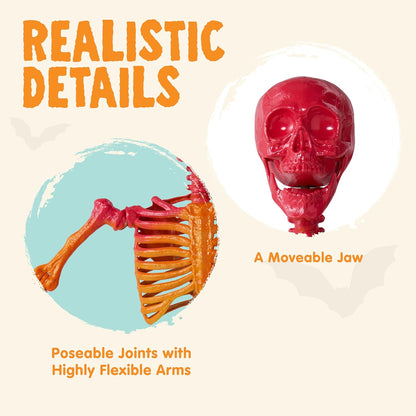 5.6 FT Halloween Posable Life Size Skeleton, Full Body Realistic Bones with Mova